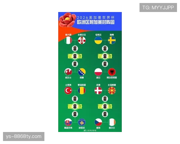 奥地利队冲击2026美加墨世界杯:晋级前景与阵容分析